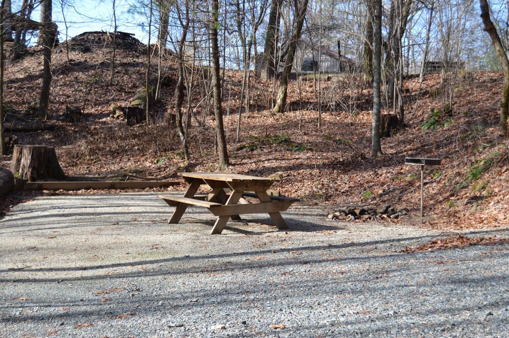 Linville Falls Campground, Rv Park, And Cabins Екстер'єр фото