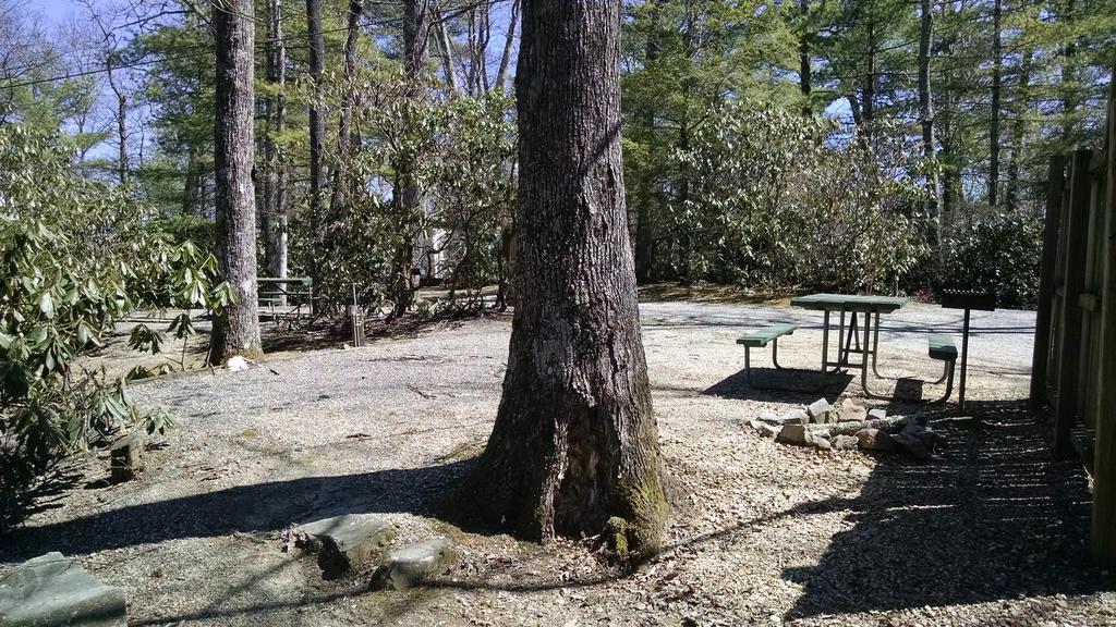 Linville Falls Campground, Rv Park, And Cabins Екстер'єр фото