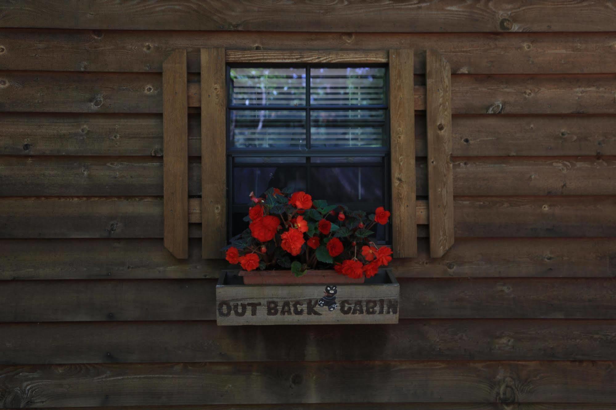 Linville Falls Campground, Rv Park, And Cabins Екстер'єр фото