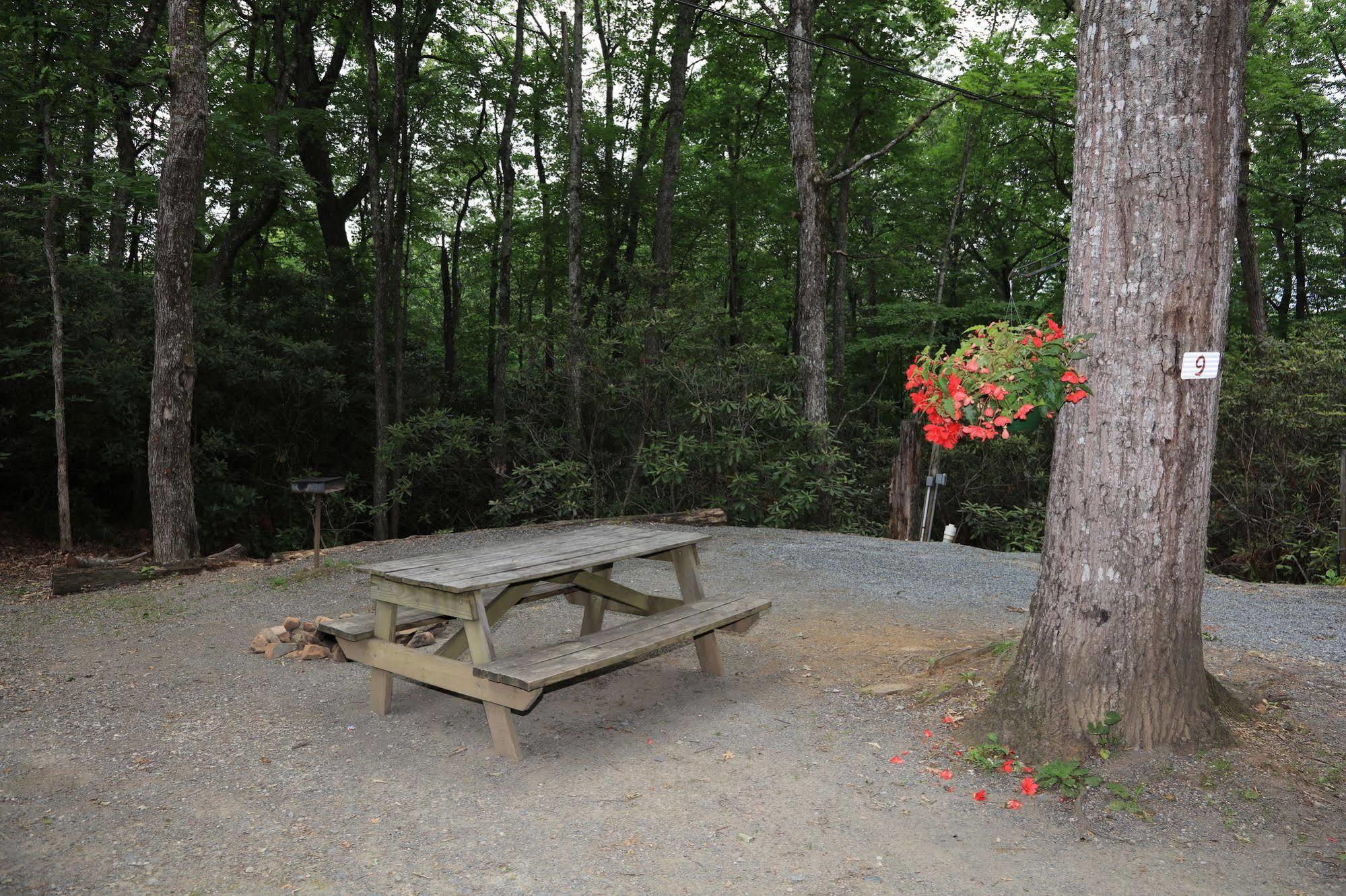 Linville Falls Campground, Rv Park, And Cabins Екстер'єр фото